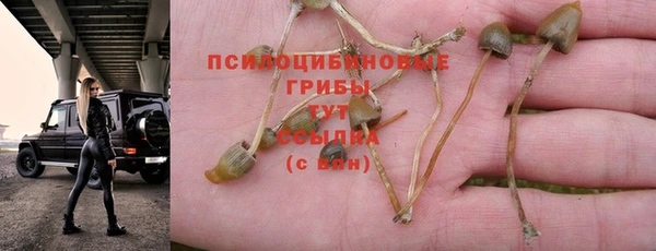 героин Гусев