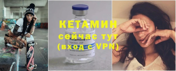 сатива Гусь-Хрустальный
