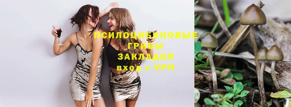 мяу мяу кристалл Дмитриев