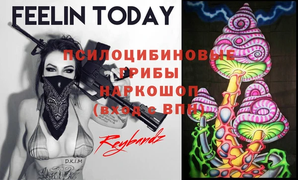 мяу мяу кристалл Гусиноозёрск