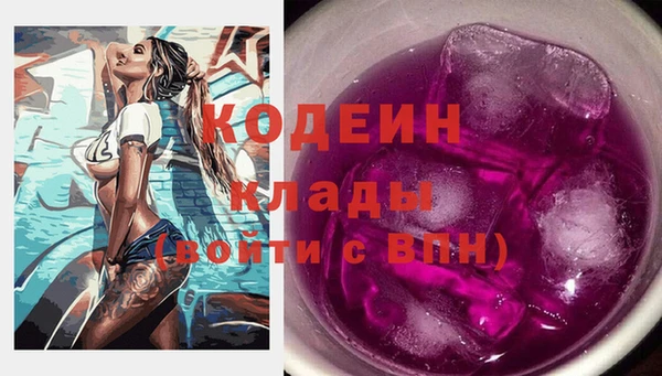 хмурый Дмитров