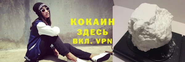 сатива Гусь-Хрустальный