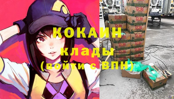 сатива Гусь-Хрустальный