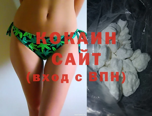 гашик Дмитровск