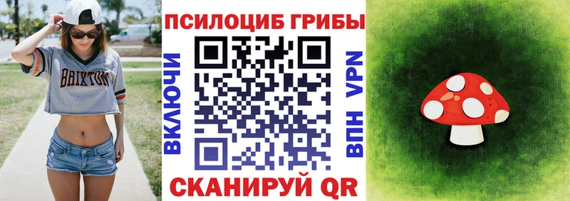 Купить Зерноград Галлюциногенные грибы Cubensis